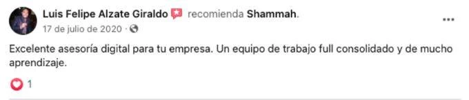 Screenshot of an original client review